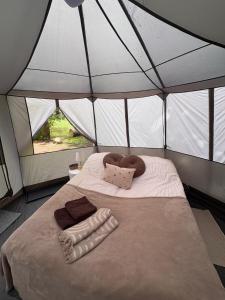 Leśne Manowce - Glamping nad Drwęcą