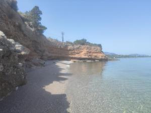 Suite Elena