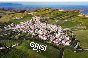 I Girasoli in Grisì