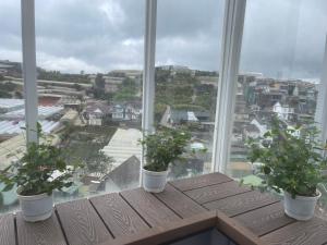 The Dalat house for home