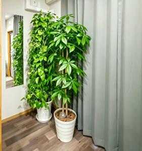 和居森 可住 4 人 两线交汇 地铁直达难波 心斋桥 梅田 关西机场 大阪静谧住宅街区