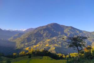 Namsewal homestay