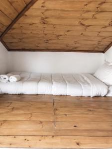 Oferta noclegów 17142947
