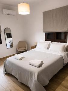 Oferta noclegów 17142947