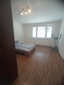 Oferta noclegów 17143016