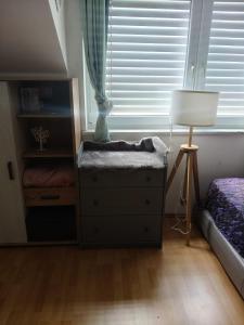 Oferta noclegów 17143058