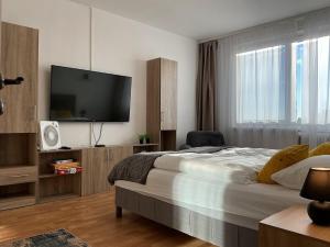 Oferta noclegów 17143246