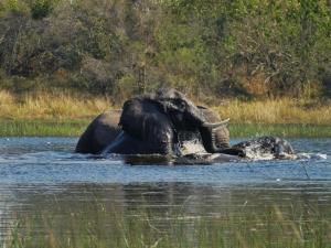 Xudumela Conservancy