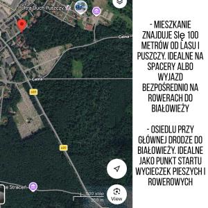 Oferta noclegów 17143078