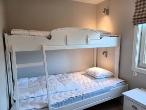 Ski-in home for 6 with sauna in Bjornen
