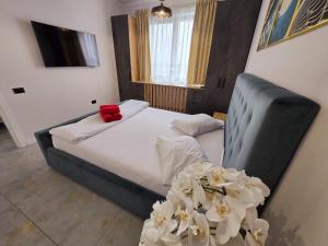 Oferta noclegów 17143465