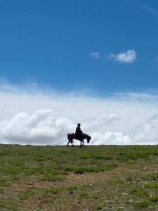 Steppe Horse Camp