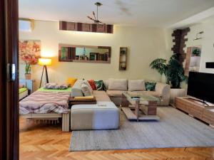 3 Three Bedrooms Apartment in Kumanovo