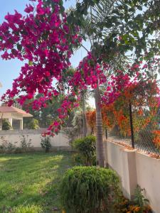 KHOLA HAWA GUEST HOUSE