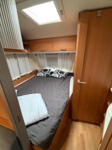 Oferta noclegów 17144037