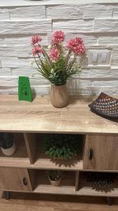 Oferta noclegów 17144103