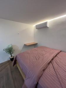 Oferta noclegów 17144396