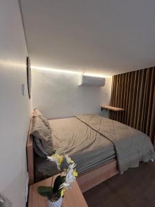 Oferta noclegów 17144396