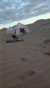 Sahara Caravan