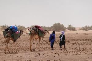 Sahara Caravan