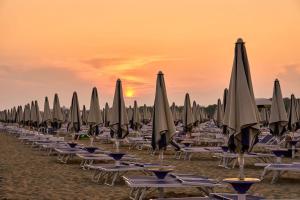 Newly renovated apartment 50m from the beach