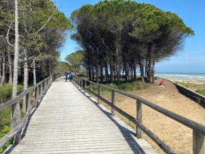 Newly renovated apartment 50m from the beach