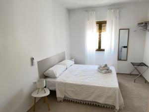 B&B Solis