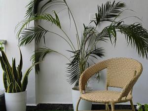 2BHK Independent House-Prime Location Nature Vibes