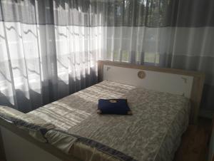 Oferta noclegów 17145179
