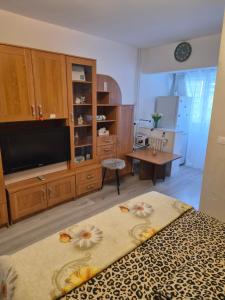 Dream Studio Airport & Mall Craiova