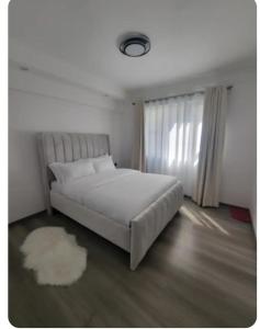 Oferta noclegów 17145691