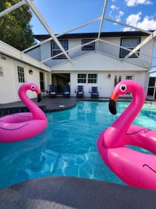 Heated Pool, Epic Game Room, Fire Pit & BBQ, 5BR Tampa Getaway