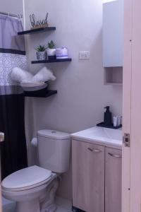 Oferta noclegów 17146194