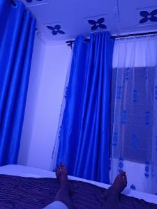 Oferta noclegów 17146203