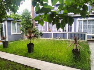 Apartment Allegro