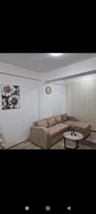 Oferta noclegów 17146464