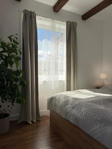 Apartment Hydrangea Home