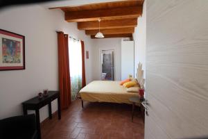 Oferta noclegów 17146639