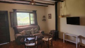 Los Olivos Centenarios