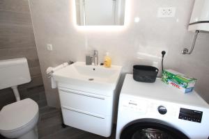 Oferta noclegów 17146021