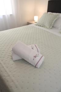 Oferta noclegów 17146021