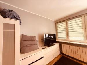 Oferta noclegów 17147343
