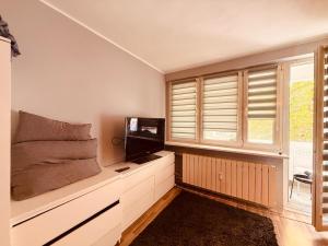 Oferta noclegów 17147343
