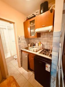 Oferta noclegów 17147343