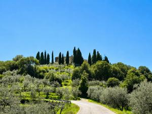 Belvedere San Leolino - Vista sulla campagna toscana
