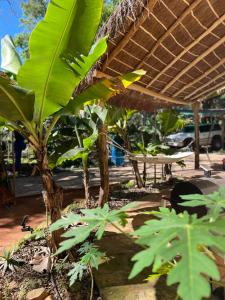 Wohlfühloase Neue Casita in Caacupe Ytu