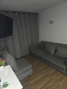 Oferta noclegów 17147567