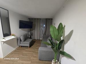 Oferta noclegów 17147567