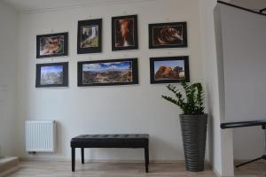New stylish apartment with terrace