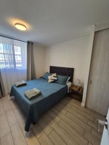 Oferta noclegów 17147652